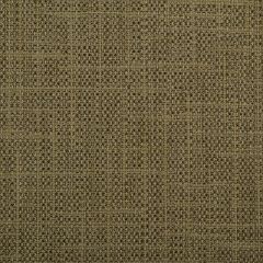 Duralee Avocado 32504-21 Decor Fabric