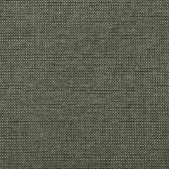Kravet Contract Burr Juniper 35745-321 Performance Kravetarmor Collection Indoor Upholstery Fabric