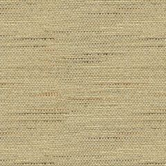 Baker Lifestyle Satara Linen PF50381-110 Multipurpose Fabric