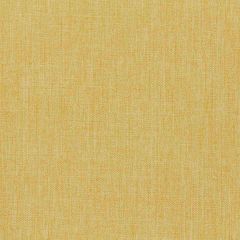 Robert Allen Contract Worsted Weight-Daffodil 214822 Decor Upholstery Fabric