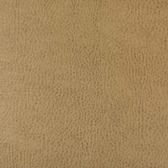 Kravet Design Beholder 16 Indoor Upholstery Fabric