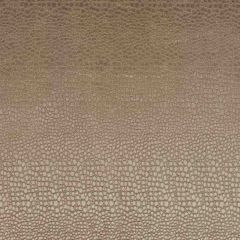 Clarke and Clarke Pulse Taupe F0469-15 Tempo Collection Upholstery Fabric