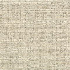 Kravet Contract 35410-1123 Crypton Incase Collection Indoor Upholstery Fabric