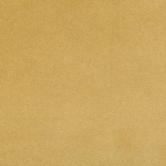 Kravet Contract Madison Velvet Marigold 35402-4 Indoor Upholstery Fabric