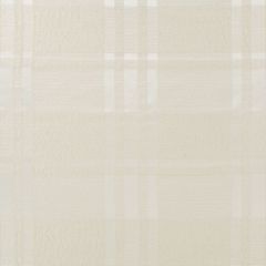 Beacon Hill Cannes Plaid Haze 259987 Silk Jacquards and Embroideries Collection Drapery Fabric