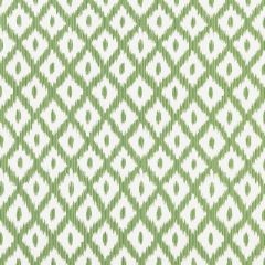 Kravet Basics Pitigala Green 35762-13 Ceylon Collection Indoor Upholstery Fabric