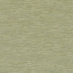 Duralee Dk61162 254-Spring Green 358119 Indoor Upholstery Fabric