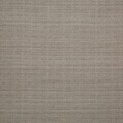 Kravet Design Arroyo Stone 35823-11 Breezy Indoor/Outdoor Collection Upholstery Fabric
