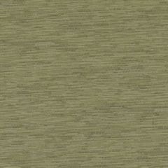 Duralee Dk61162 597-Grass 358274 Indoor Upholstery Fabric