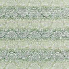 Kravet Design Tofino Clover 35835-3 Breezy Indoor/Outdoor Collection Upholstery Fabric