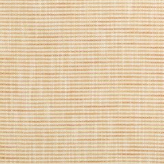 Kravet Contract River Park Butterscotch 35866-1424 Gis Crypton Collection Indoor Upholstery Fabric