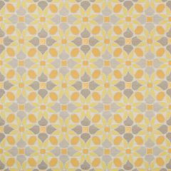 Kravet Contract Tiepolo Citrus 35882-411 GIS Crypton Green Collection Indoor Upholstery Fabric