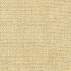 Duralee DW61172 Jonquil 205 Indoor Upholstery Fabric