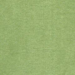 Duralee Dq61335 212-Apple Green 359054 Indoor Upholstery Fabric