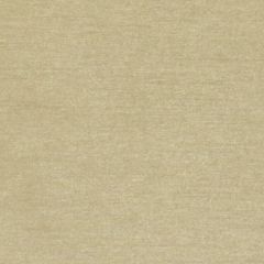 Duralee DQ61335 Herb 305 Indoor Upholstery Fabric