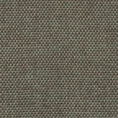 Duralee DW61172 Chinchilla 319 Indoor Upholstery Fabric