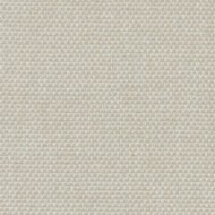 Duralee Dw61172 509-Almond 359102 Indoor Upholstery Fabric