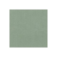 Kravet Basics  35916-313  Multipurpose Fabric