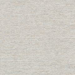 Kravet Couture Tide Over Platinum 35922-11 Vista Collection Upholstery Fabric