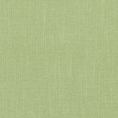 Duralee DW61177 Apple Green 212 Indoor Upholstery Fabric