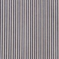Robert Allen Avenue Stripe Iris 234010 Filtered Color Collection Indoor Upholstery Fabric