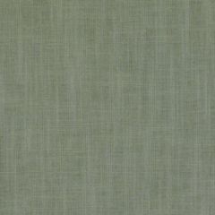 Duralee Dk61160 188-Willow 359291 Indoor Upholstery Fabric