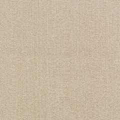 Kravet Smart  35942-116 Performance Kravetarmor Collection Indoor Upholstery Fabric