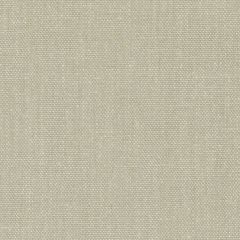 Duralee DW61221 Pumice 358 Indoor Upholstery Fabric