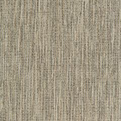 Kravet Smart  35965-168 Performance Crypton Home Collection Indoor Upholstery Fabric