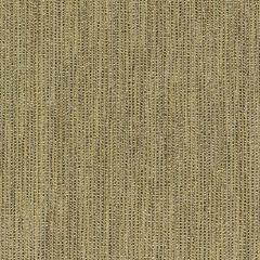 Kravet Smart  35965-316 Performance Crypton Home Collection Indoor Upholstery Fabric