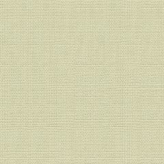 Kravet Design Crissie Linen 35977-2111 By Barry Lantz Canvas To Cloth Collection Multipurpose Fabric