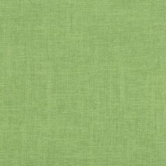 Kravet Design Emmie Jade 35982-3333 By Barry Lantz Canvas To Cloth Collection Multipurpose Fabric