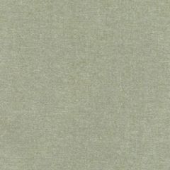 Duralee Dq61335 554-Kiwi 359960 Indoor Upholstery Fabric