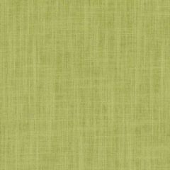 Duralee Dk61160 579-Peridot 359990 Indoor Upholstery Fabric