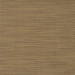 Phifertex Watercolor Tweed Glow NG5 54-inch Cane Wicker Collection Sling Upholstery Fabric