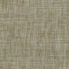 Duralee Dd61542 233-Sage / Brown 360188 Drapery Fabric
