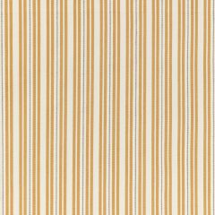 Kravet Basics 36046-40 L'Indienne Collection Multipurpose Fabric