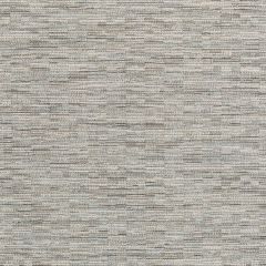 Kravet Couture Noni Texture Platinum 36050-115 Luxury Textures II Collection Indoor Upholstery Fabric