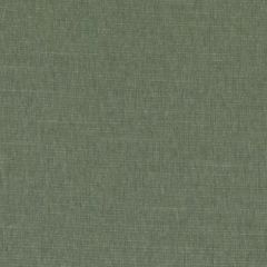 Duralee Dk61161 321-Pine 360530 Indoor Upholstery Fabric