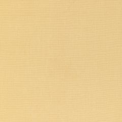 Kravet Basics  36055-40 L'Indienne Collection Multipurpose Fabric