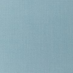 Kravet Basics  36055-5 L'Indienne Collection Multipurpose Fabric