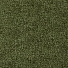Kravet Smart Barton Chenille Cactus 36074-3  Indoor Upholstery Fabric