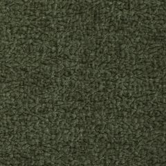 Kravet Smart Barton Chenille Basil 36074-30  Indoor Upholstery Fabric