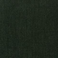 Kravet Smart 36076-3333 Sumptuous Chenille II Collection Indoor Upholstery Fabric