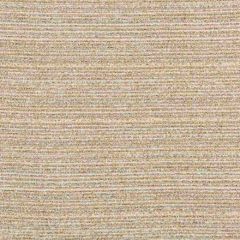Kravet Design 36079-1611 Inside Out Performance Fabrics Collection Upholstery Fabric