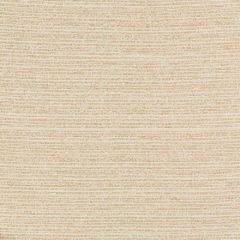 Kravet Design 36079-161 Inside Out Performance Fabrics Collection Upholstery Fabric