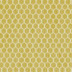 Kravet Design 36081-314 Inside Out Performance Fabrics Collection Upholstery Fabric