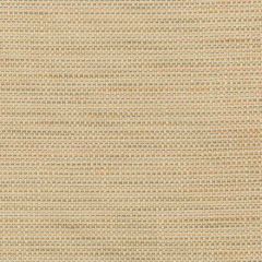 Kravet Design 36082-106 Inside Out Performance Fabrics Collection Upholstery Fabric