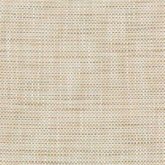 Kravet Design 36082-161 Inside Out Performance Fabrics Collection Upholstery Fabric