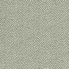 Kravet Design 36085-121 Inside Out Performance Fabrics Collection Upholstery Fabric